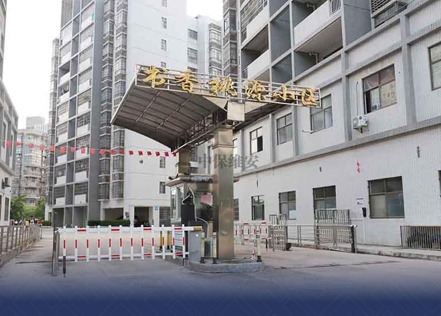 安保效劳